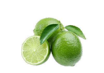 h3-product12 h3-product12