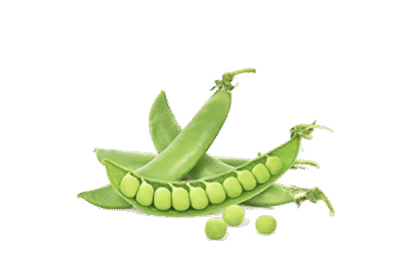 h3-product7 h3-product7